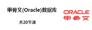 Oracledb